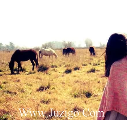 2023年拜年短信大全84句