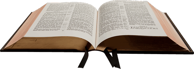 高中好词好句好段摘抄