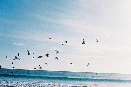 爆笑qq性签名89句