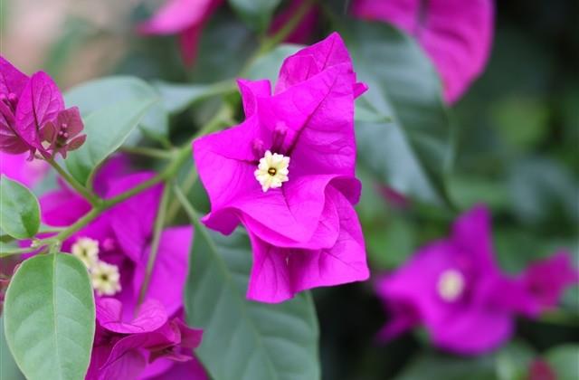 可爱超萌的情侣网名(共147个) 可爱超萌的情侣网名(共147个)