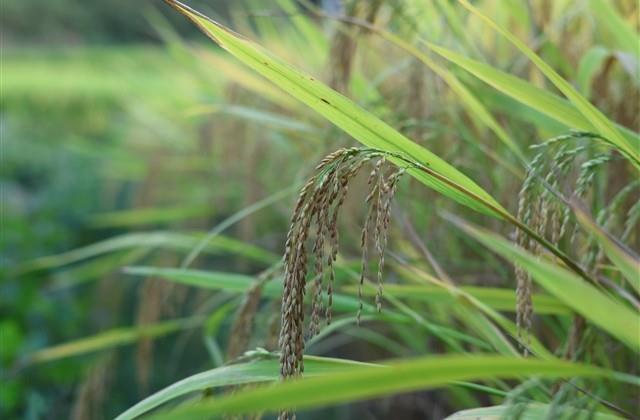 重新开始努力奋斗的说说 重新开始努力奋斗的说说