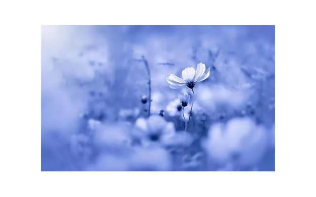 男生土味情话表白女生(男生土味情话撩妹) 男生土味情话表白女生(男生土味情话撩妹)