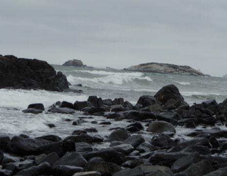 对这种人失望的句子