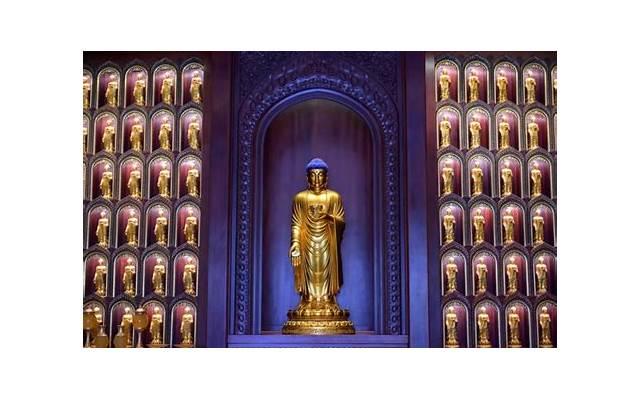 逗人开心又撩人的晚安情话,晚安最美一句话 逗人开心又撩人的晚安情话,晚安最美一句话