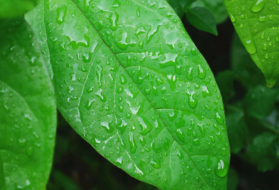 ​下雨天意境很美的诗句 描写雨夜的诗句(精选62句)