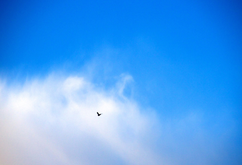 1694798287140756.png image.png