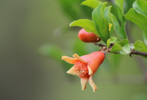 1694799948112011.png image.png