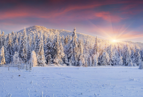 1694805763351354.png image.png