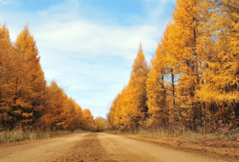 1697389822500760.png image.png