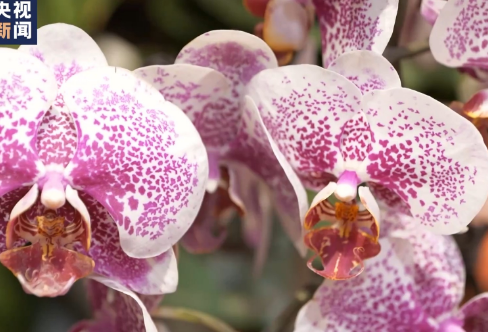 1710921095108082.png image.png