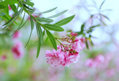 ​教师自评报告