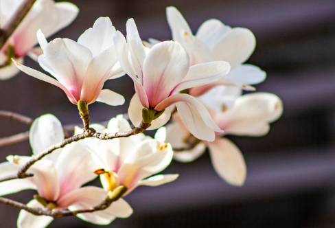 1710922274176215.png image.png