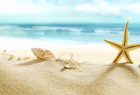 1713126378516424.png image.png