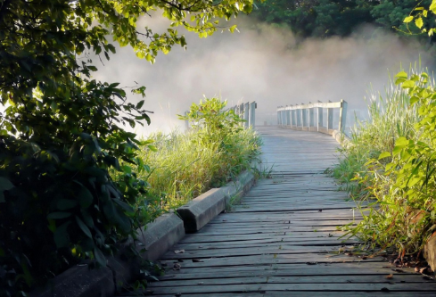 1713136133131126.png image.png